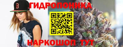 шишки Донецк