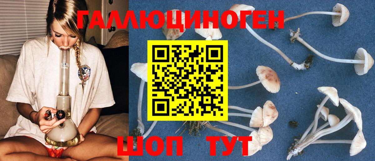 Галлюциногенные грибы Magic Shrooms Ярославль